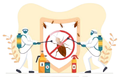 Professional Cockroach Control Services in Karachi
